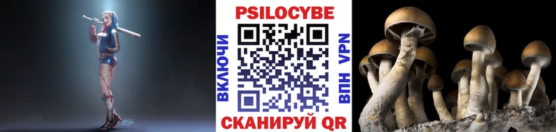 Галлюциногенные грибы Psilocybine cubensis  Лесосибирск 